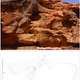 Animal scene number 2. (Image: G. Charloux et al., 2018)